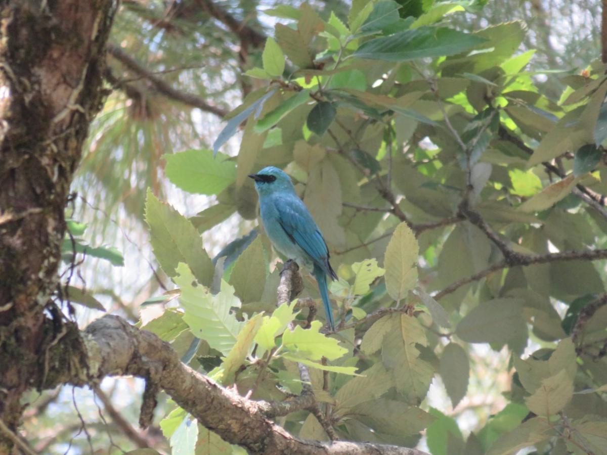Maa Anand Mayee Guest House Panuānaula Esterno foto