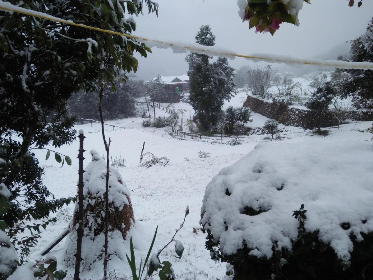 Maa Anand Mayee Guest House Panuānaula Esterno foto